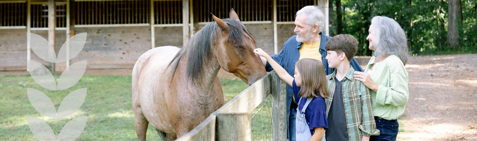 grandparents with grandkids petting horse